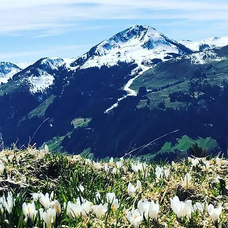 Apartment Sonnenschein Rebecca