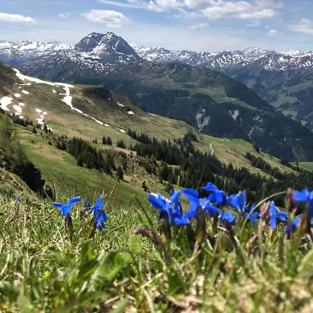 Apartment Sonnenschein Rebecca