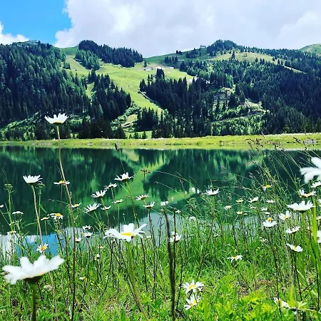 Apartment Sonnenschein Rebecca *