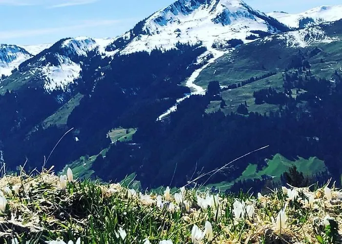 Apartment Sonnenschein Rebecca