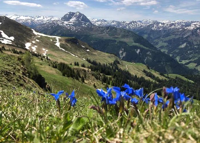 Διαμέρισμα Sonnenschein Rebecca